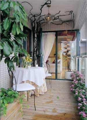 漂亮花草美化家居 看阳台演绎四季变迁